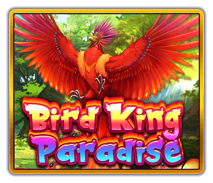 Bird king paradise
